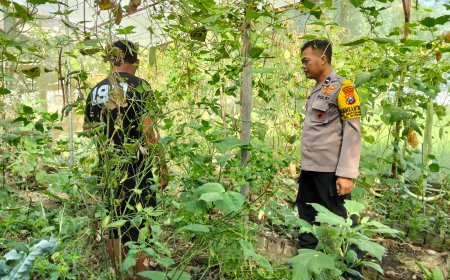 Bhabinkamtibmas Desa Banyukambang Ajak Warga Manfaatkan Pekarangan Rumah untuk Dukung Ketahanan Pangan